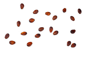 watermelon seed isolated on white background. top view