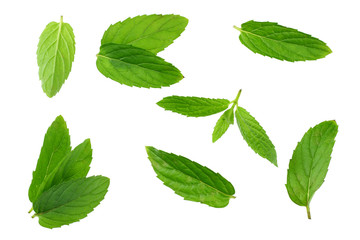 Naklejka na ściany i meble Fresh mint leaves isolated on white background. top view