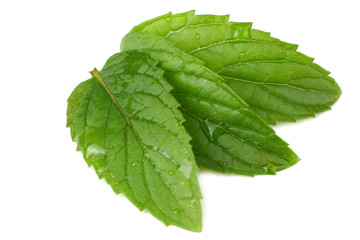Fototapeta premium Fresh mint leaves isolated on white background. top view