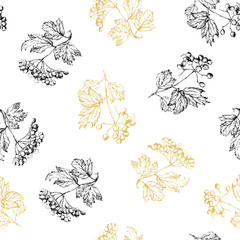 Vector seamless pattern of branch Viburnum or Guelder rose, ornate leaves and berry bunch in isolated on white.