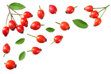 rosehip berries with green leaves isolated on white background. Top view