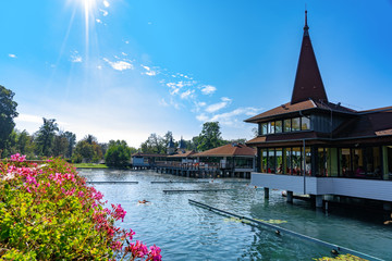 famous Heviz balneal thermal bath in Hungary park