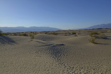 Sand and dunes in the death valley