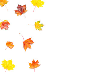 Colorful Autumn leaves concept frame on the white background. Top view. Copy space