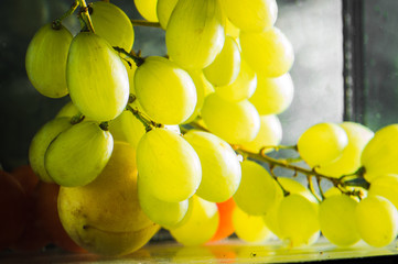 green grapes in water on background background. Splashes of drops, water