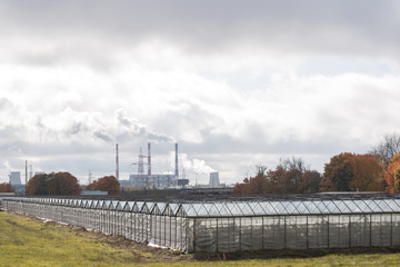 Greenhouses for growing vegetables, fruits and herbs in all weather conditions.