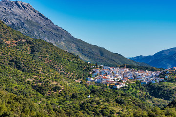 Cortes de la Frontera, Malaga Province, Andalusia, Spain, Western Europe.