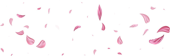 Pink falling petals wind. Sakura or rose flower pastel texture background. - obrazy, fototapety, plakaty