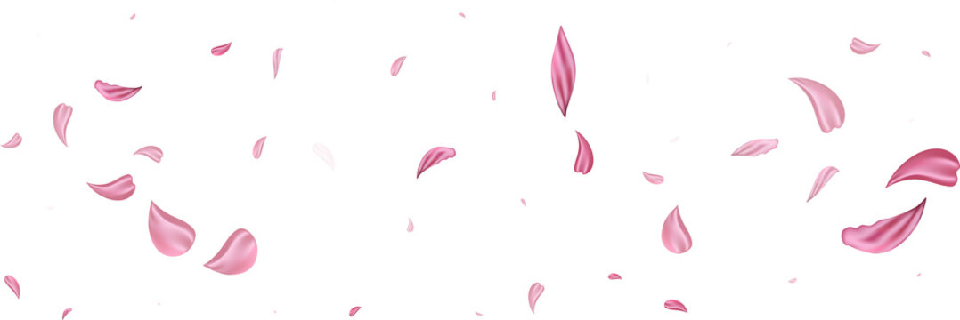 Pink Falling Petals Wind. Sakura Or Rose Flower Pastel Texture Background.