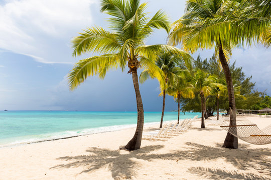 A white sand beach, turquoise sea and palm trees.