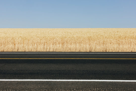 Road against wheat field