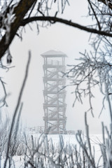 wooden tower and tree in winter