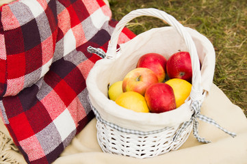 Autumn still life in the forest. Picnic with a basket with apples and a pillow in a cage in the forest.