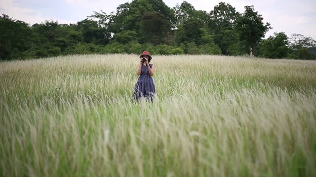 A woman standing and photographing in the meadow ,Thailand