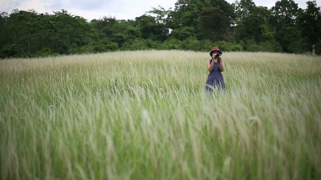 A woman standing and photographing in the meadow ,Thailand