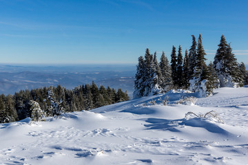 Winter Panorama of Vitosha Mountain, Bulgaria