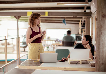 Females carpenters talking while working at desk in office