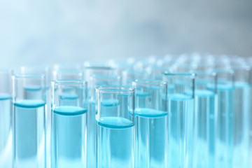 Many test tubes with light blue liquid on grey background, closeup