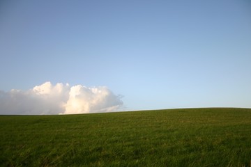 Fototapeta na wymiar Schöner Himmel mit grüner Wiese