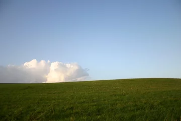 Fotobehang Schöner Himmel mit grüner Wiese © Alexander