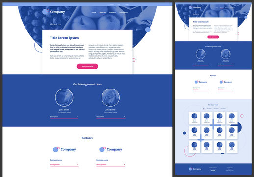 About Us Page Website Design Layout with Blue and Pink Accents