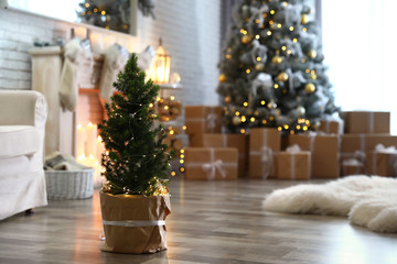 Potted Christmas tree with fairy lights in stylish room interior