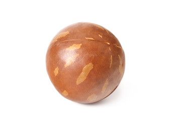 Macadamia nut isolated on a white background