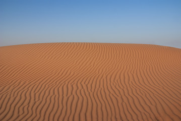 Dune ridge in the morning light in the desert of the Oman