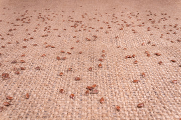 dark brown small flaxseeds bitterly lie on a dense burlap fabric.