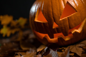 halloween carving pumpkin on a leafs. shining Jack-o'-lantern.