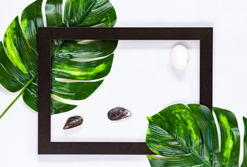 black frame on white background and green tropical leaves