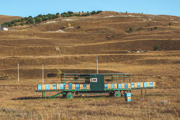 Classic beehives of the Caucasian bee's apiary