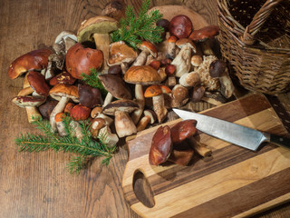 Assorted edible mushroom Boletus close up on wooden rustic table with wicker basket, cutting board, knife and green spruce tree twig. Cooking and preparing delicious organic mushroom food. Autumn Cep