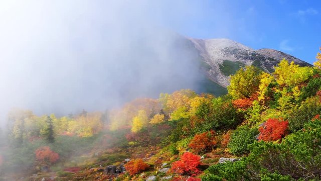 信州の紅葉　乗鞍岳　乗鞍エコーライン