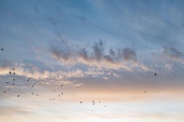 Autumn contrast sky