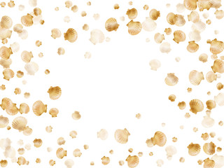 Trendy gold sea shell graphics.