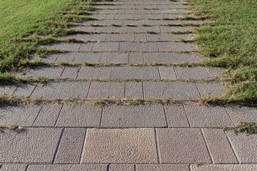 Pavimento de baldosas con textura formando camino por el césped de un parque