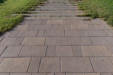 Pavimento de baldosas con textura formando camino por el césped de un parque