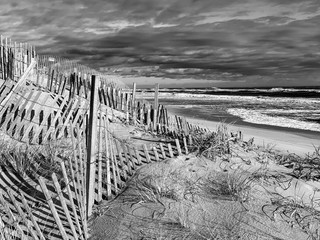 Sand Dunes Hamptons Beach Ocean