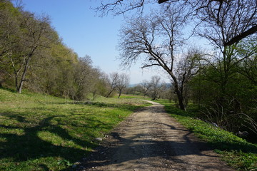 Landschaft bei Keisd, Saschiz