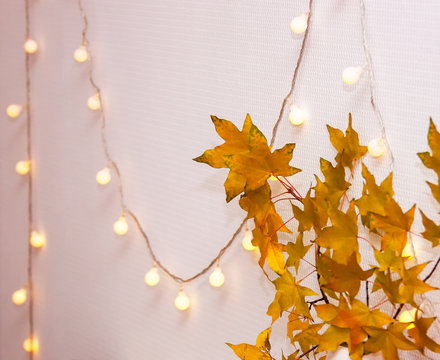 Home concept with modern interior, white room, blank wall. Clean wall, light garland, yellow maple leasves. Cozy minimalist abstract autumn interior for poster, banner. Space for text, selective focus
