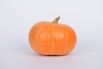 The orange pumpkin on white background