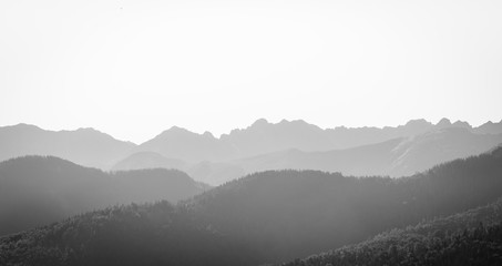 Misty mountains - thick fog covering spruce covered hills and rocky mountains in the background