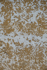 Schäden an der hauswand durch Efeu