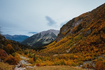gold autumn in mountains