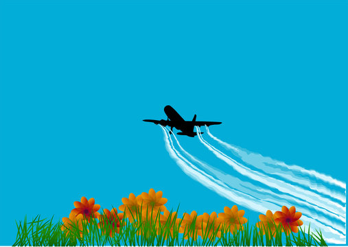plane in the sky