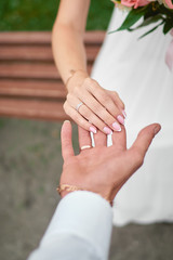 Wedding theme, groom and bride holding hands. Newlyweds Walking together.