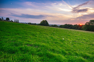 sunset over green field