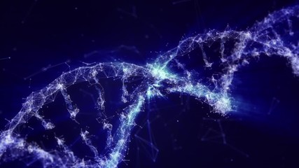 Animation of a DNA Strand with plexus. Rotating doble helix. Genetic concept. Medicine. Futuristic technology concept.   - Powered by Adobe
