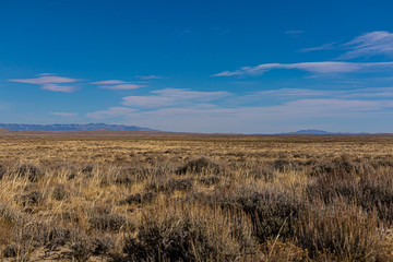 Red Desert Landscape